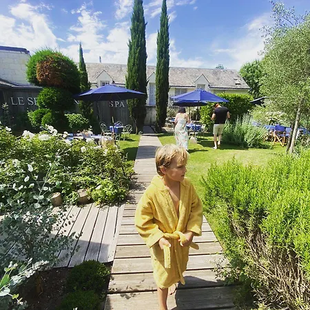 Hotel La Marine De Loire Hôtel&spa Montsoreau