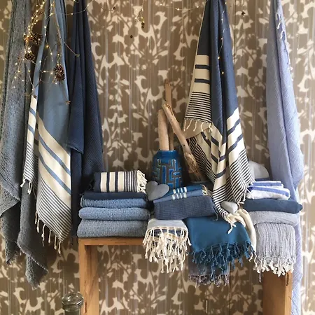 מלון La Marine De Loire & מונסורו