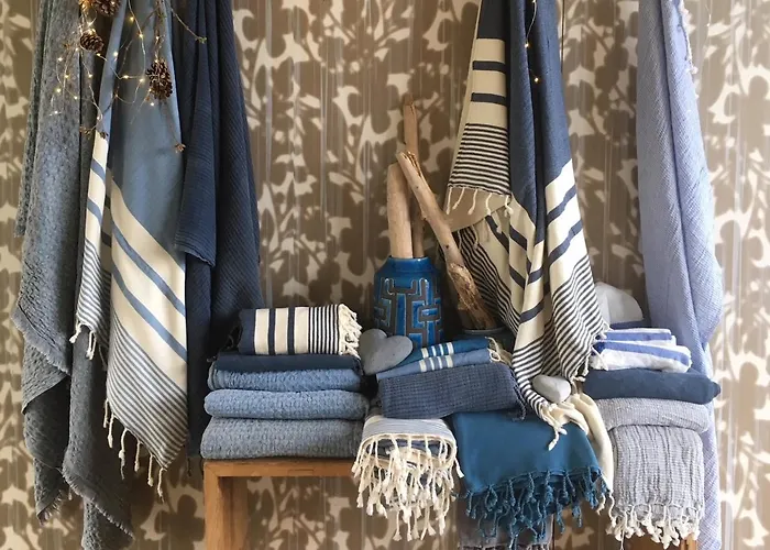 Hotel La Marine De Loire Hôtel&spa Montsoreau